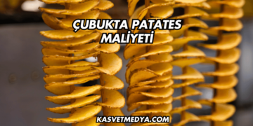 Çubukta Patates Maliyeti