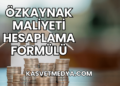 Özkaynak Maliyeti Hesaplama Formülü