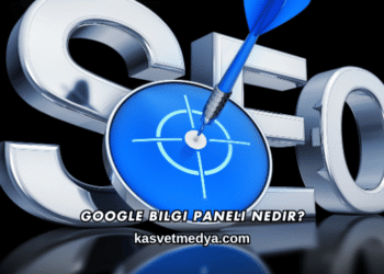 Google Bilgi Paneli Nedir?